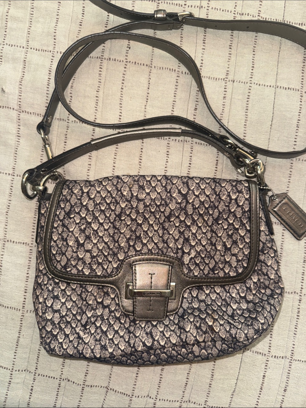 Coach Metallic Snake-Print Crossbody Bag - Silver/Gray